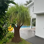 Villa Villa Canhas *