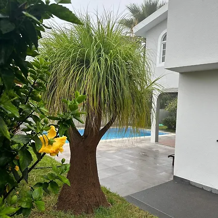 فيلة Villa Canhas *
